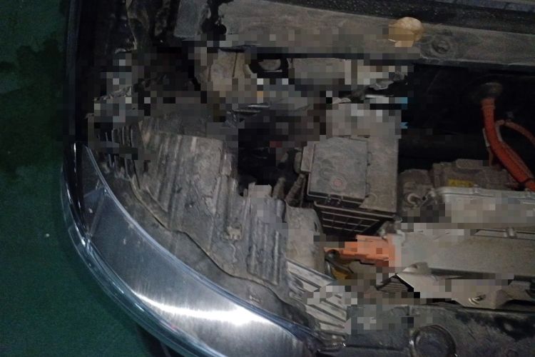 Used Wuling Zhiguang New Energy 2025 Comfort Model Engine Bay Right