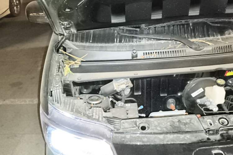 Used Wuling Zhiguang New Energy 2025 Model 305km Ambitious Edition Engine Bay Right