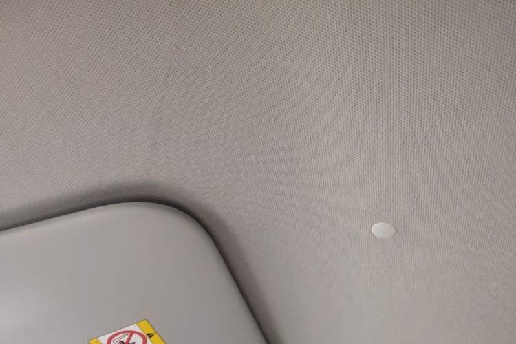 Used Wuling Zhiguang New Energy 2025 Model 305km Ambitious Edition Headliner