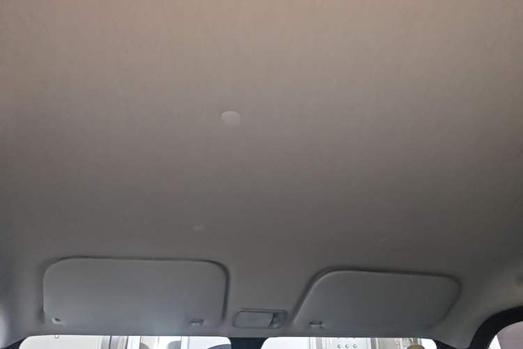 Used Wuling Zhiguang New Energy 2025 Standard Model Headliner