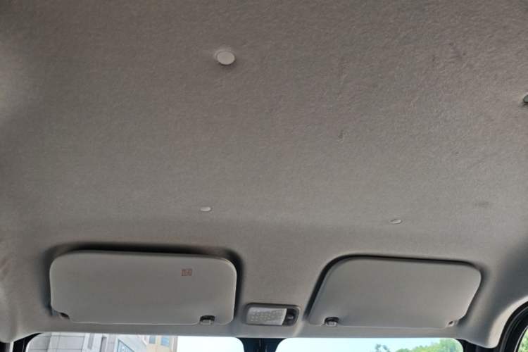 Used Wuling Zhiguang New Energy 2025 Standard Model Headliner