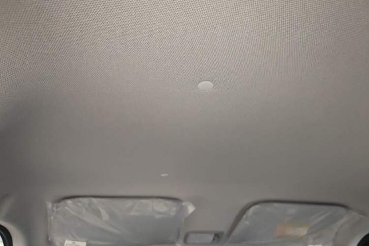 Used Wuling Zhiguang New Energy 2025 Model 305km Ambitious Edition Headliner