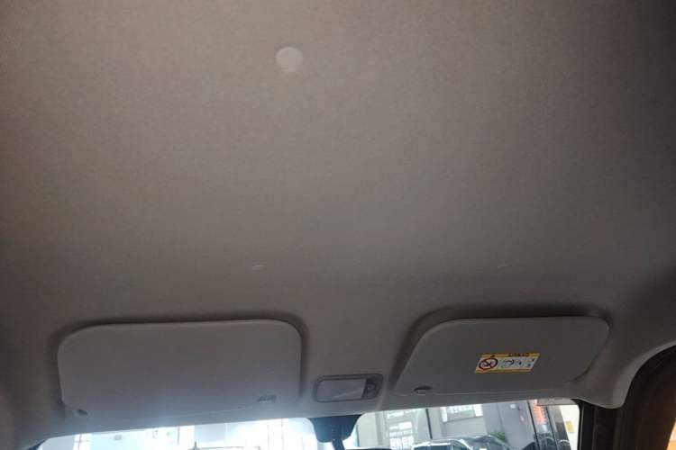 Used Wuling Zhiguang New Energy 2025 Model 305km Ambitious Edition Headliner