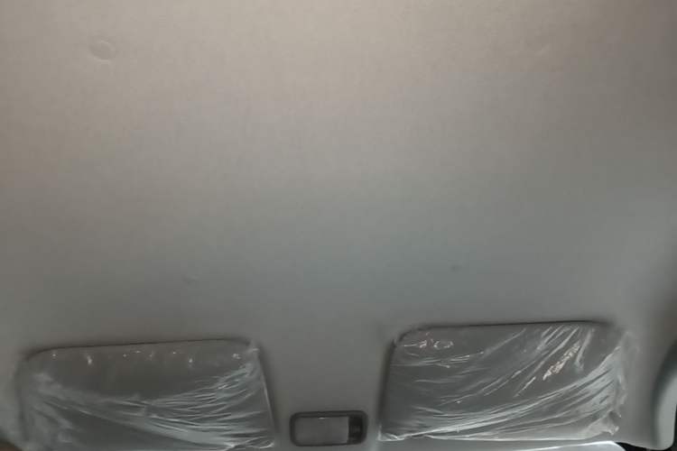 Used Wuling Zhiguang New Energy 2025 Comfort Model Headliner