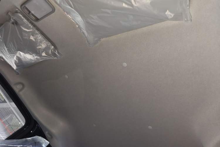 Used Wuling Zhiguang New Energy 2025 Standard Model Headliner