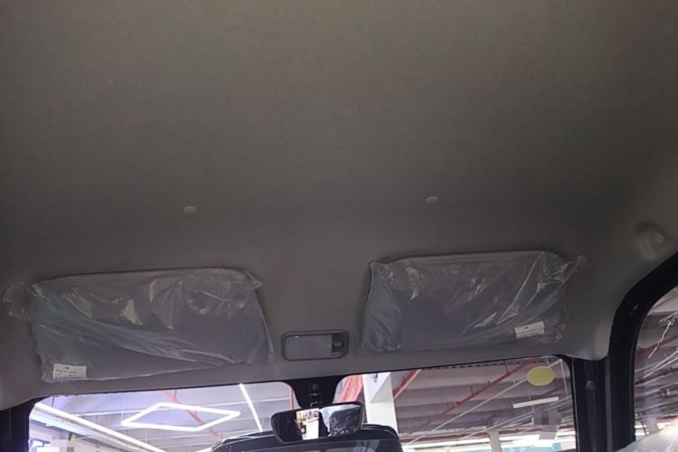 Used Wuling Zhiguang New Energy 2025 Standard Model Headliner
