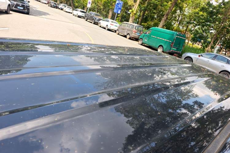 Used Wuling Zhiguang New Energy 2025 Standard Model Roof
