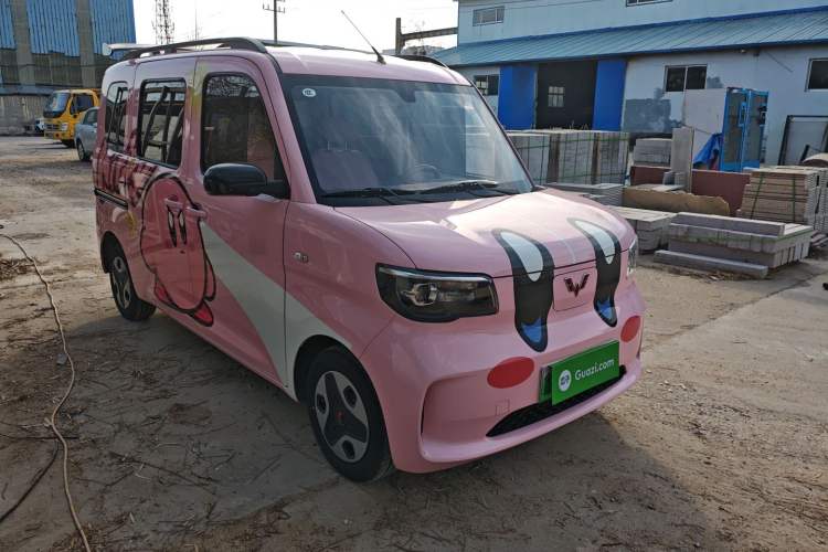 Used Wuling Zhiguang New Energy 2025 Comfort Model Exterior 2