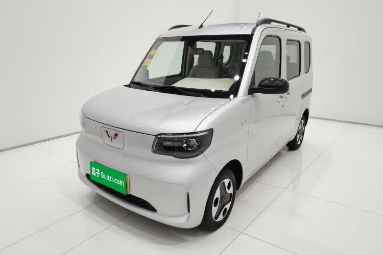 Wuling Zhiguang New Energy 2025 Model 305km Ambitious Edition