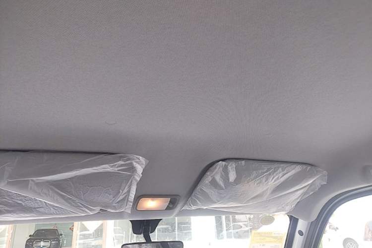 Used Wuling Zhiguang New Energy 2025 Model 305km Ambitious Edition Headliner