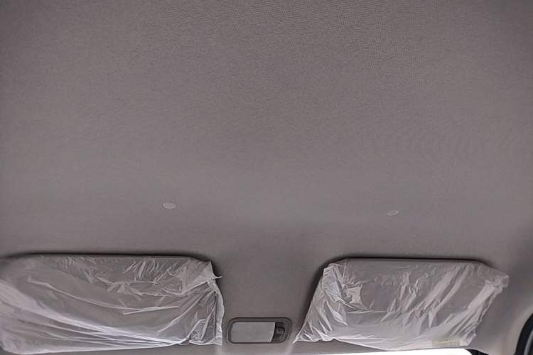 Used Wuling Zhiguang New Energy 2025 Comfort Model Headliner