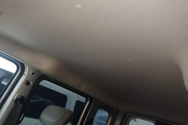 Used Wuling Zhiguang New Energy 2025 Standard Model Headliner