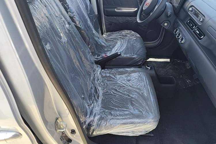 Used Wuling Zhiguang New Energy 2025 Comfort Model Right Front Seat