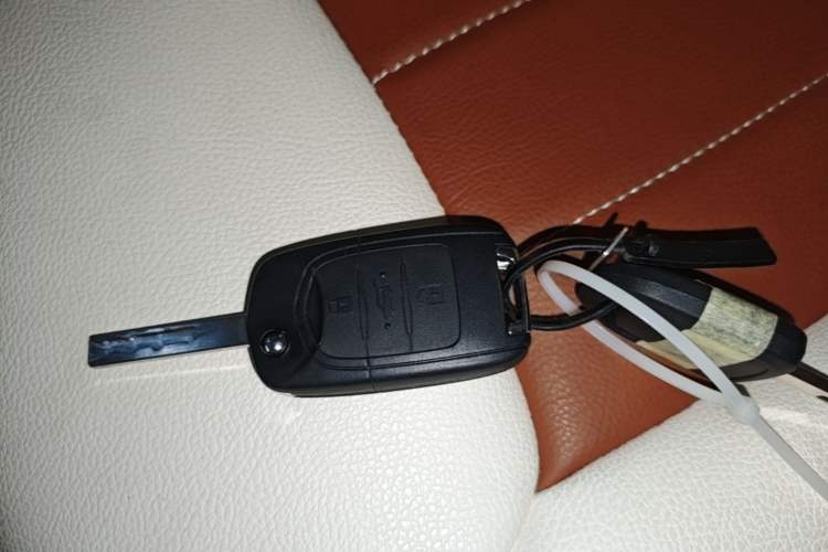 Used Wuling Zhiguang New Energy 2025 Comfort Model Vehicle Key