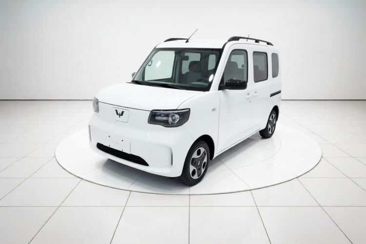 Wuling Zhiguang New Energy 2025 Model 305km Ambitious Edition