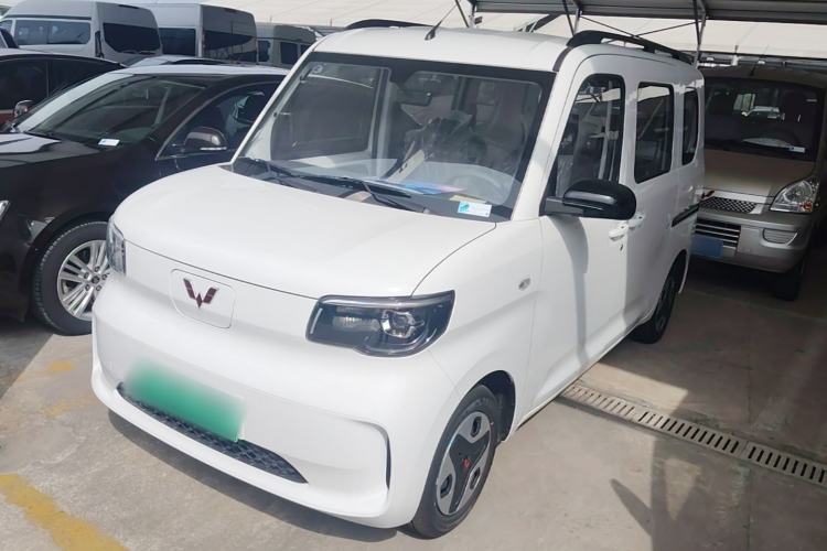 Wuling Zhiguang New Energy 2025 Model 305km Ambitious Edition