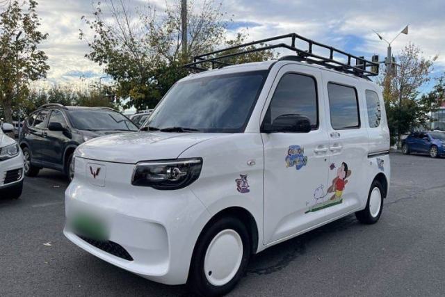 Wuling Zhiguang New Energy 2025 Comfort Model usata