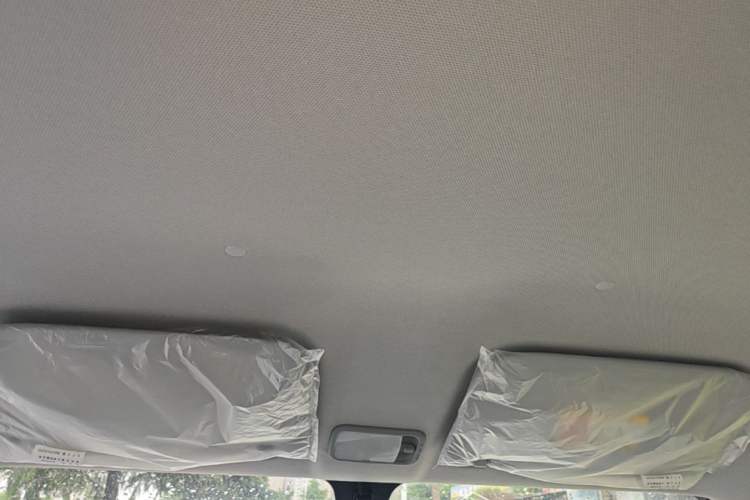 Used Wuling Zhiguang New Energy 2025 Model 305km Ambitious Edition Headliner