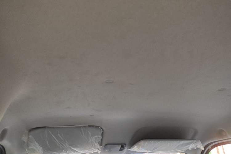 Used Wuling Zhiguang New Energy 2025 Model 305km Ambitious Edition Headliner