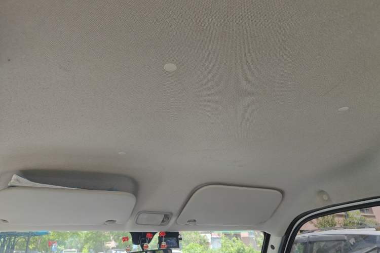 Used Wuling Zhiguang New Energy 2025 Standard Model Headliner