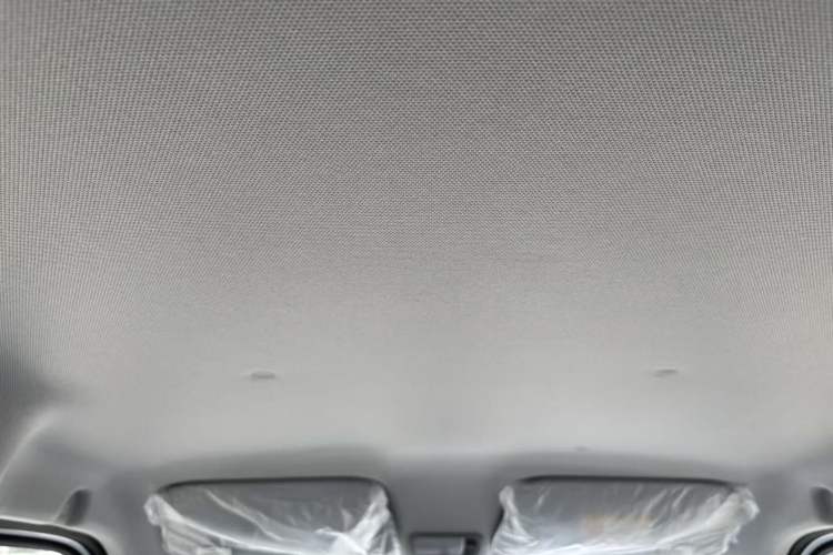 Used Wuling Zhiguang New Energy 2025 Model 305km Ambitious Edition Headliner