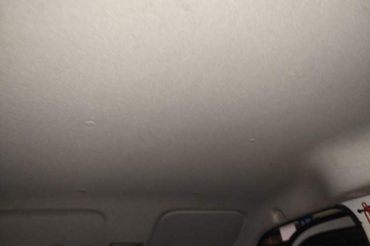 Used Wuling Zhiguang New Energy 2025 Standard Model Headliner