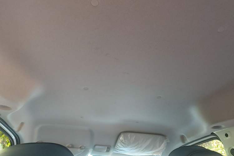 Used Wuling Zhiguang New Energy 2025 Standard Model Headliner