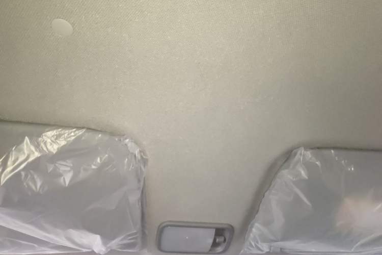 Used Wuling Zhiguang New Energy 2025 Model 305km Ambitious Edition Headliner