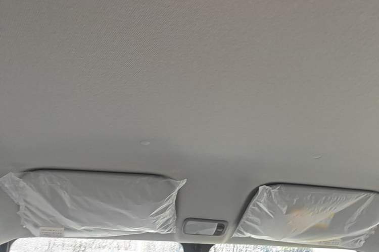 Used Wuling Zhiguang New Energy 2025 Model 305km Ambitious Edition Headliner