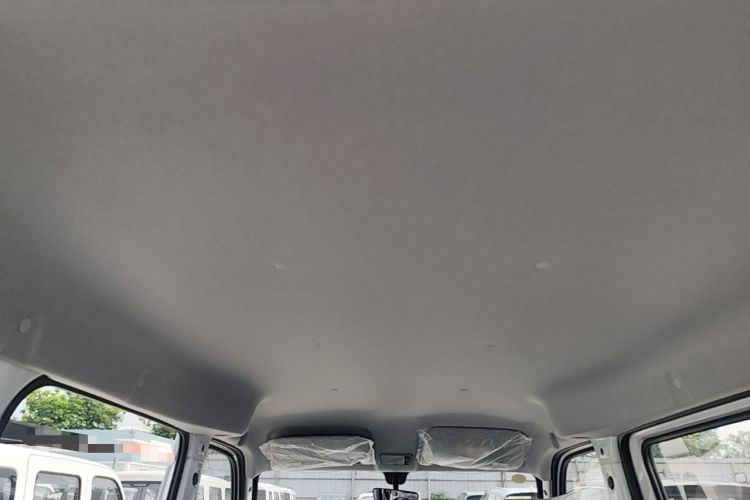 Used Wuling Zhiguang New Energy 2025 Model 305km Ambitious Edition Headliner