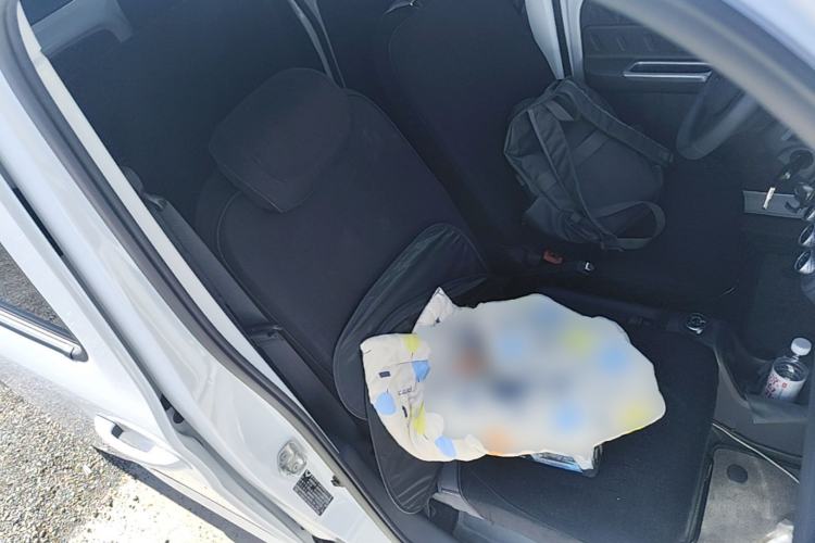 Used Wuling Zhiguang New Energy 2025 Comfort Model Right Front Seat