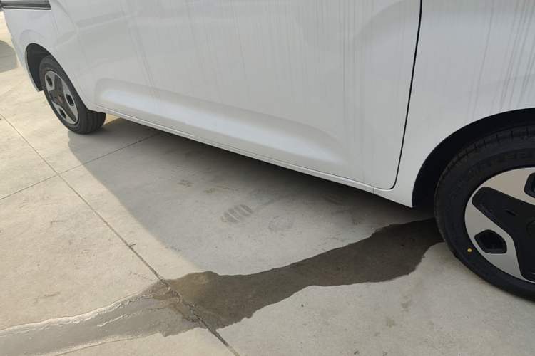 Used Wuling Zhiguang New Energy 2025 Model 305km Ambitious Edition Right Side Sill