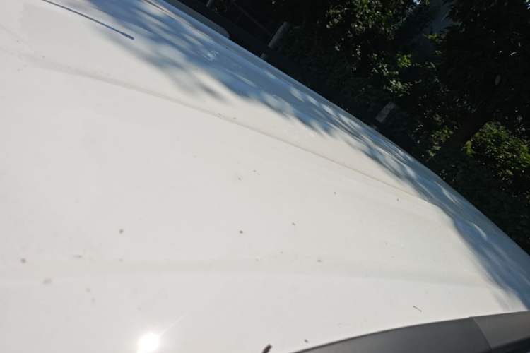 Used Wuling Zhiguang New Energy 2025 Model 305km Ambitious Edition Roof
