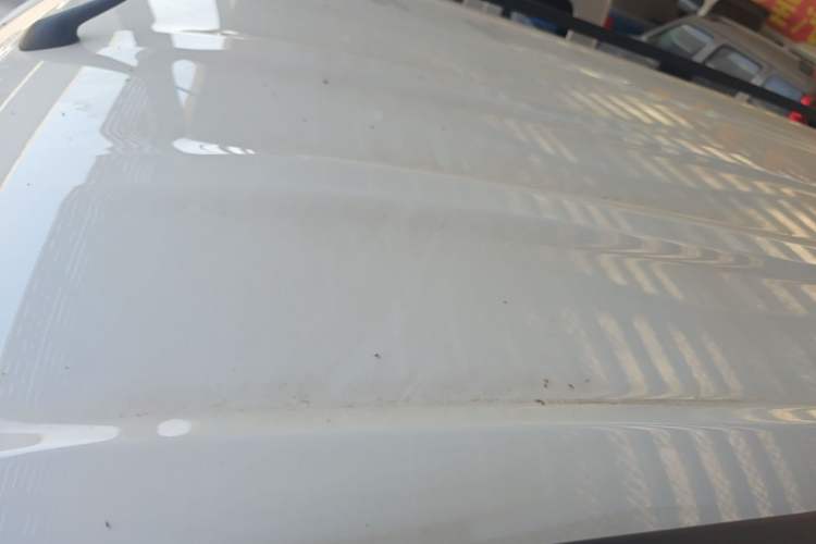 Used Wuling Zhiguang New Energy 2025 Model 305km Ambitious Edition Roof