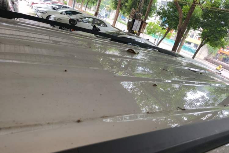 Used Wuling Zhiguang New Energy 2025 Comfort Model Roof