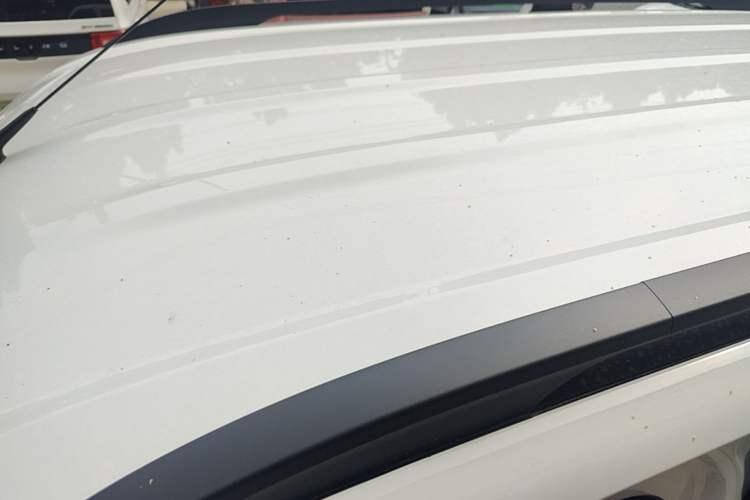 Used Wuling Zhiguang New Energy 2025 Model 305km Ambitious Edition Roof