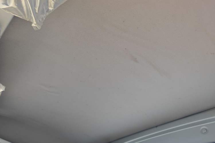 Used Wuling Zhiguang Small Truck 2020 1.2L Single Cab Headliner