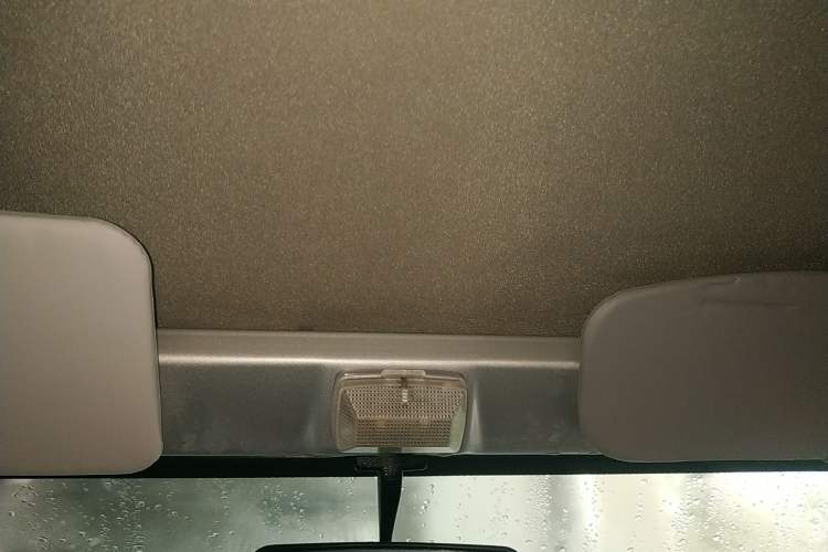 Used Wuling Zhiguang Small Truck 2020 1.2L Single Cab Headliner