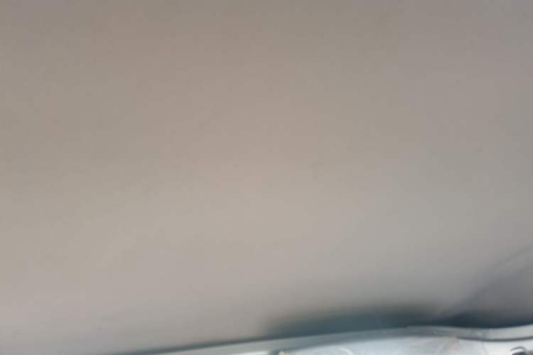 Used Wuling Zhiguang Small Truck 2020 1.2L Double Cab Headliner