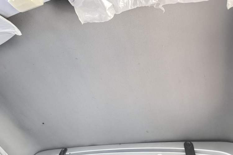 Used Wuling Zhiguang Small Truck 2020 1.2L Single Cab Headliner