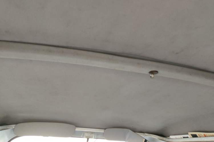 Used Wuling Zhiguang Small Truck 2020 1.2L Double Cab Headliner