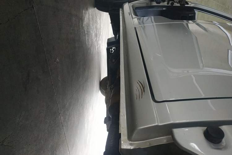 Used Wuling Zhiguang Small Truck 2020 1.2L Double Cab Left Side Sill