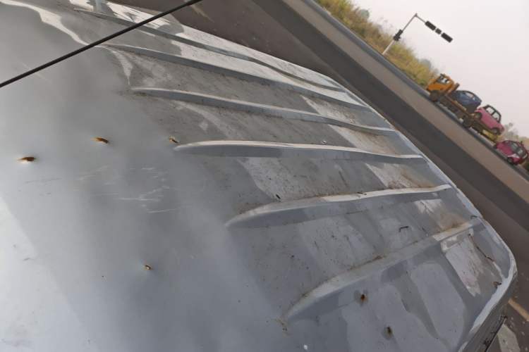 Used Wuling Zhiguang Small Truck 2020 1.2L Double Cab Roof