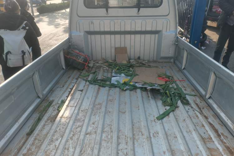 Used Wuling Zhiguang Small Truck 2020 1.2L Double Cab Trunk