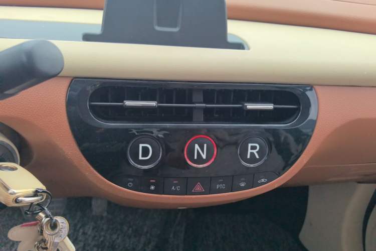 Used Xiaohu EV 2021 FOR-Four Goodie Tiger Long-Range Model Gear Lever