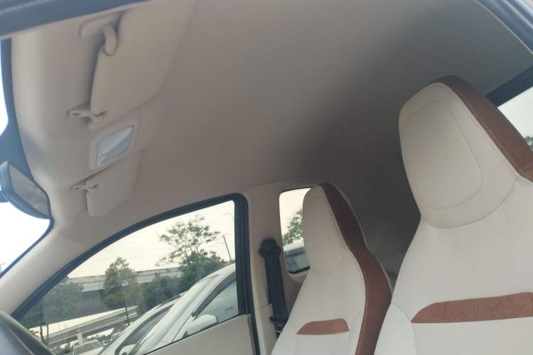 Used Xiaohu EV 2021 FOR-Two Little Cute Tiger Lithium-Ion Battery Headliner
