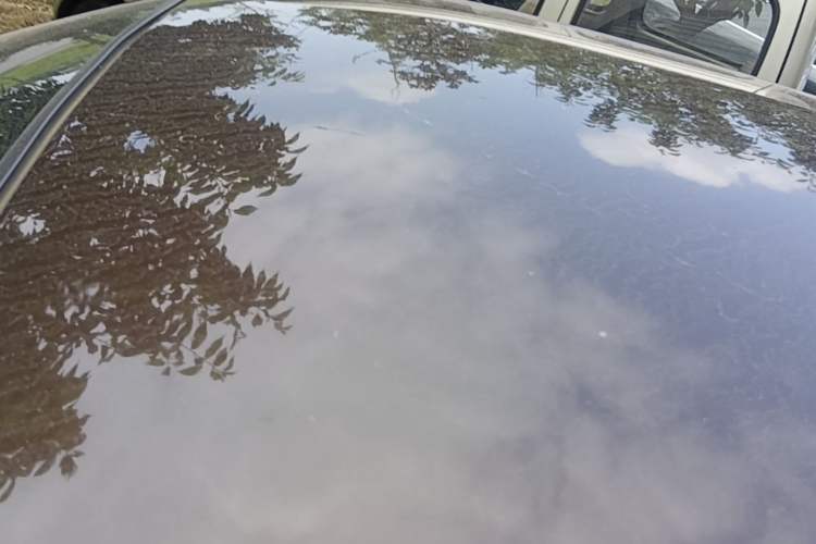 Used Xiaohu EV 2021 FOR-Four Guai Guai Hu Three-Cell Lithium Roof