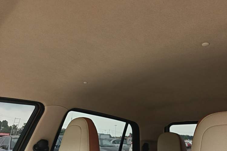 Used Xiaohu EV 2022 FOR-Four Goodie Tiger Ternary Lithium Headliner