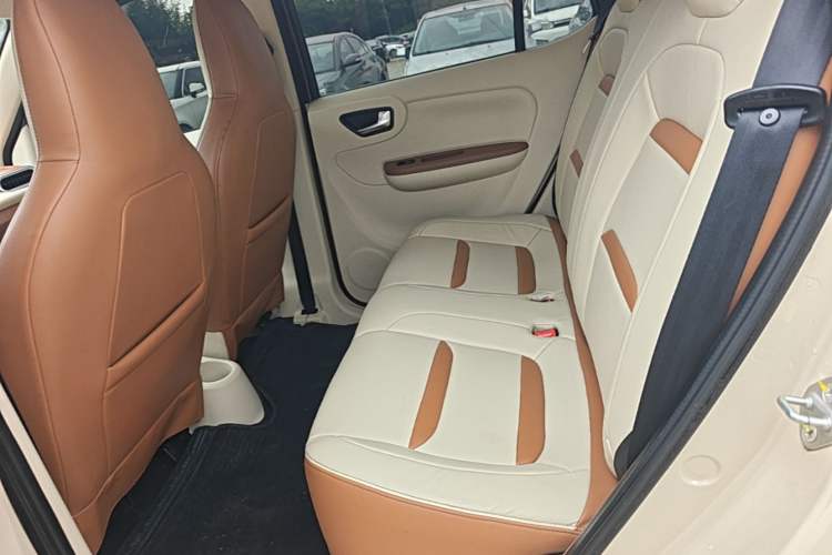 Used Xiaohu EV 2022 FOR-Four Goodie Tiger Ternary Lithium Left Rear Seat