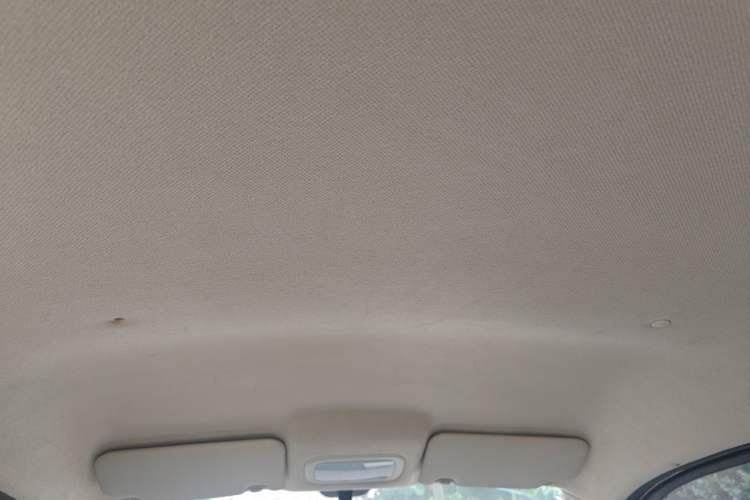 Used Xiaohu EV 2022 FOR-Four Goodie Tiger Lithium Iron Phosphate Headliner